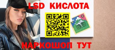прущие грибы Лесосибирск