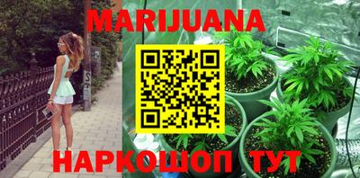 прущие грибы Лесосибирск