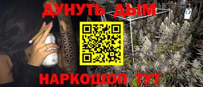 прущие грибы Лесосибирск